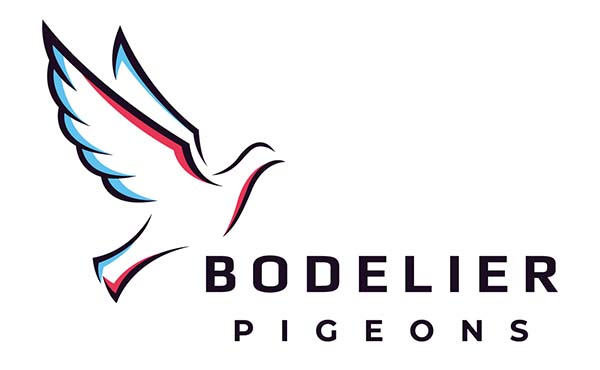 Hans Bodelier Pigeons