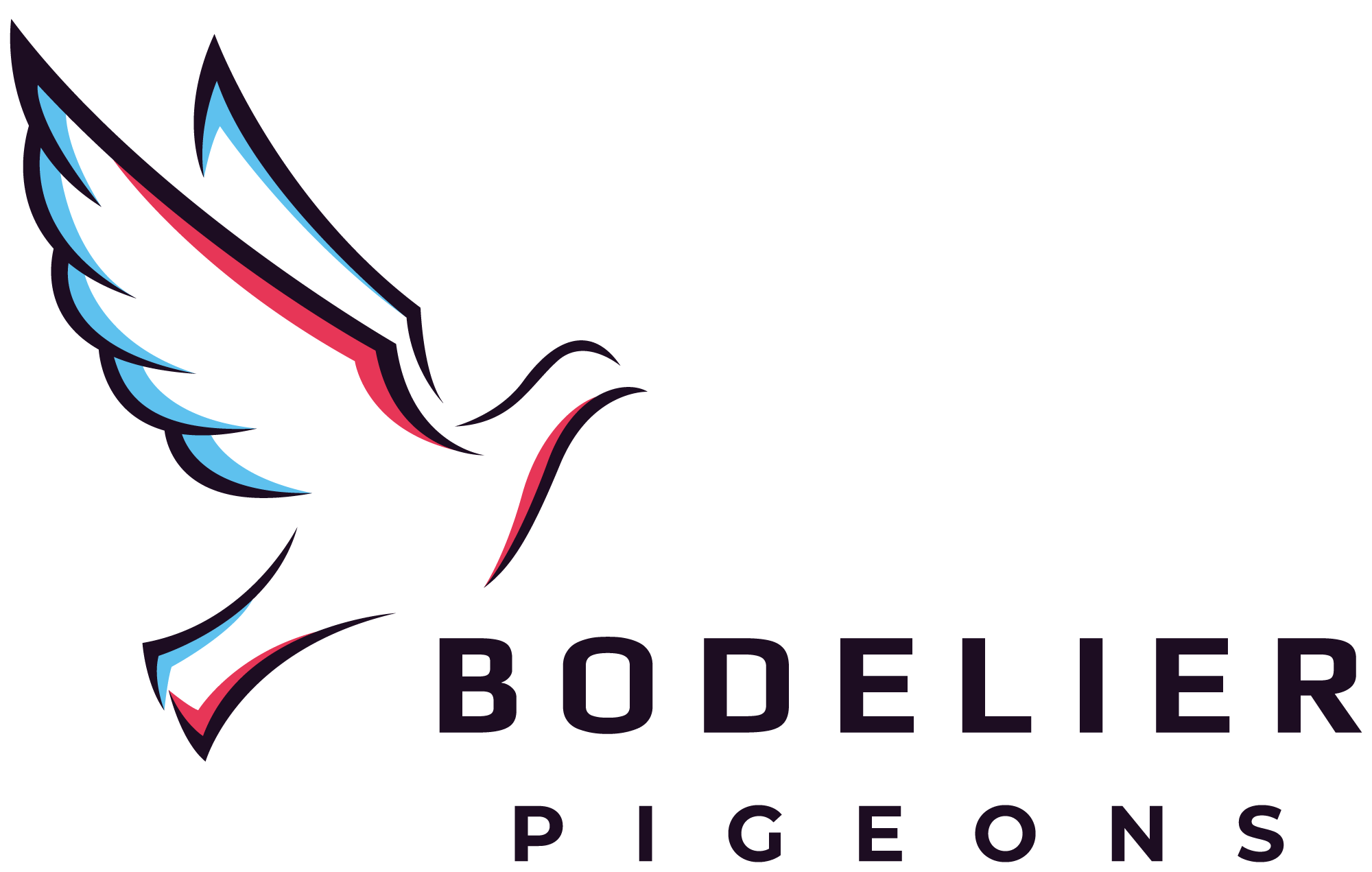 Bodelier Pigeons